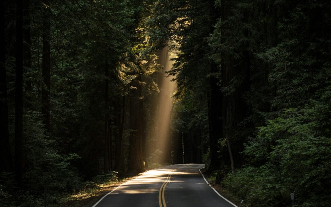 What Does Being Trauma-Informed Mean?
