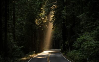 What Does Being Trauma-Informed Mean?