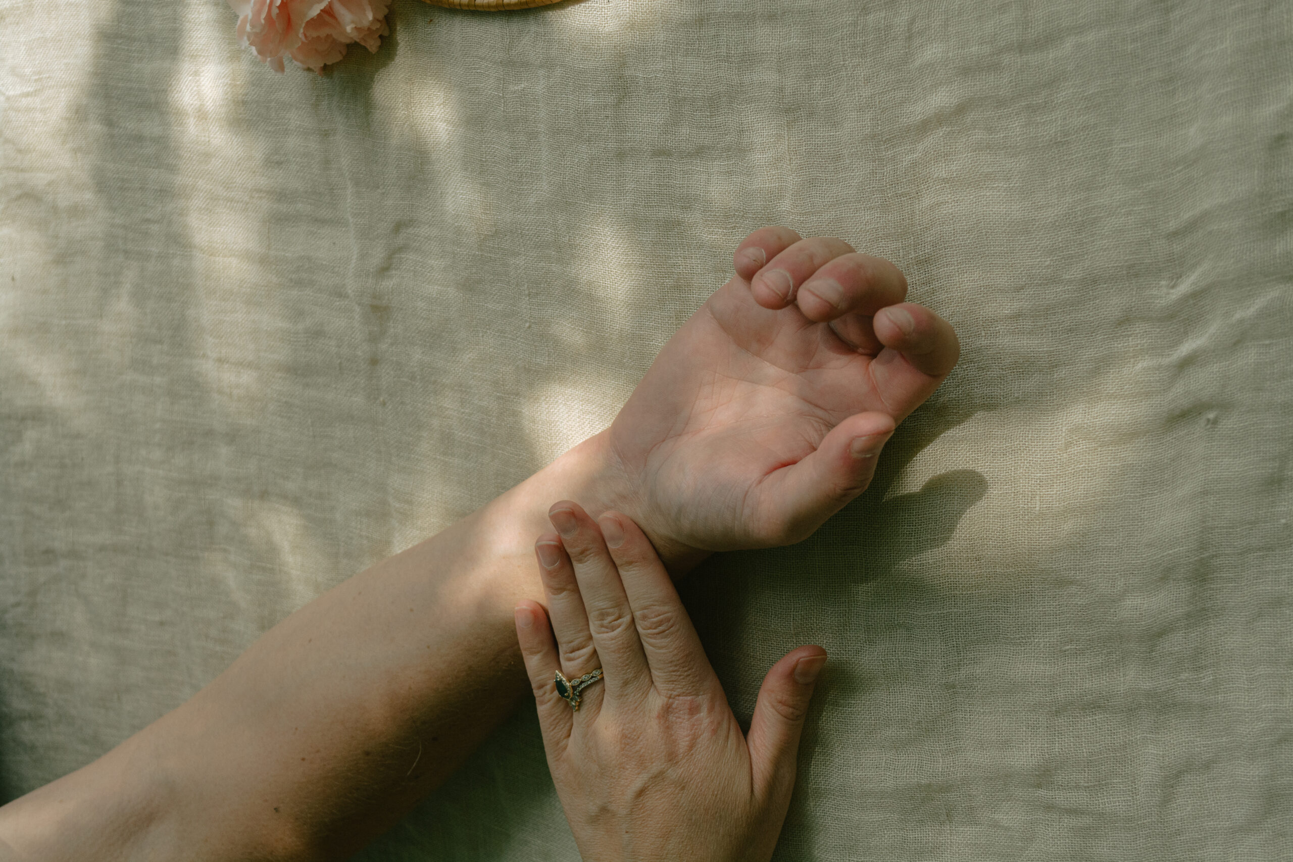 Beautiful white flowers with a bright blue sky and soft clouds behind them.