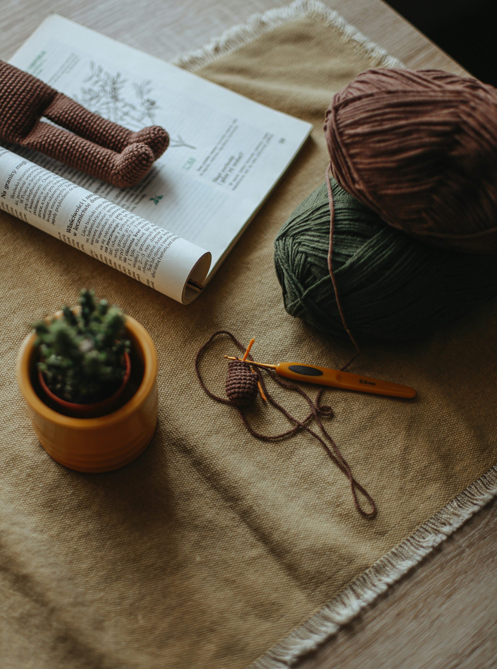 Book laying on a warm blanket with crafts and a small plant