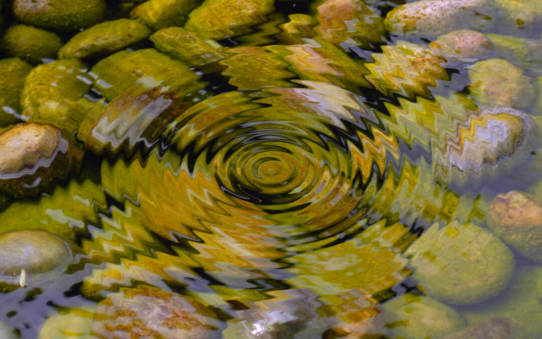 An Ayurvedic Lens on Trauma: How Stress and Survival Affect Ojas and the Flow of Life